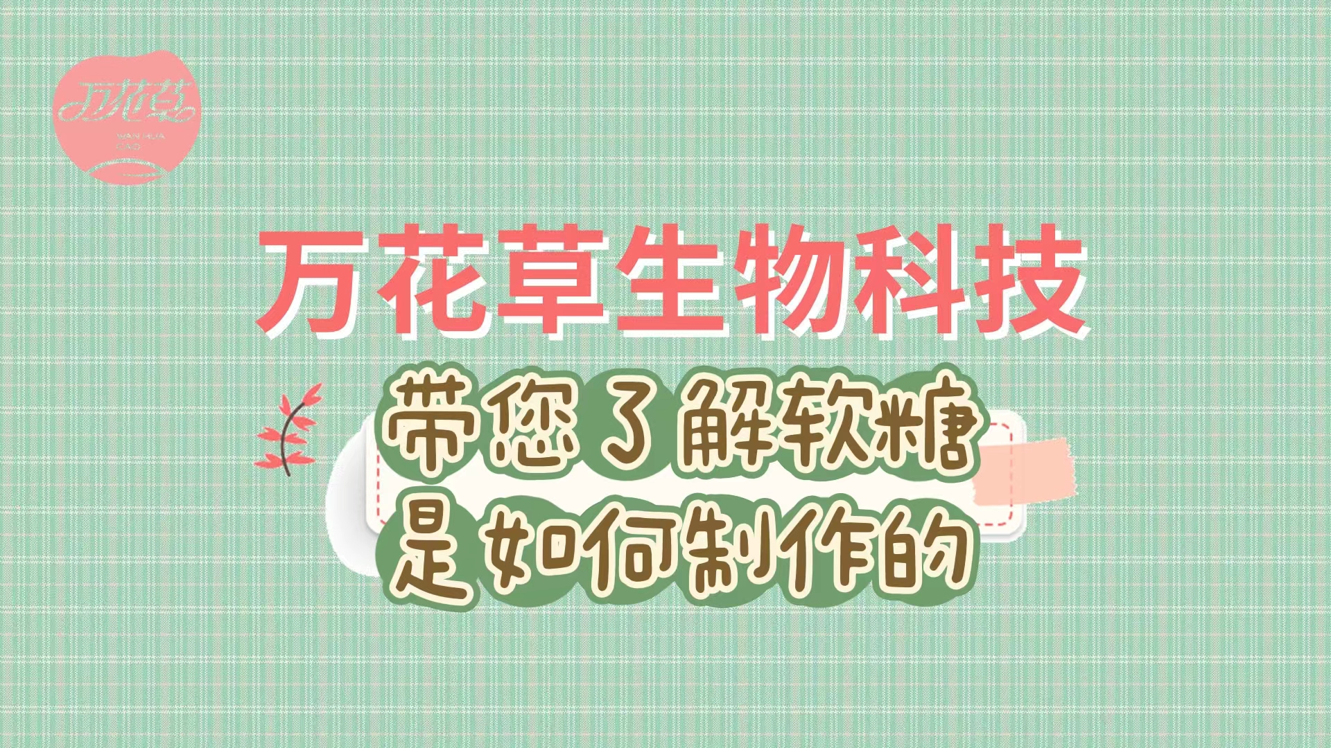 軟糖代加工生產(chǎn)工藝流程，帶您了解糖果是如何制作的
