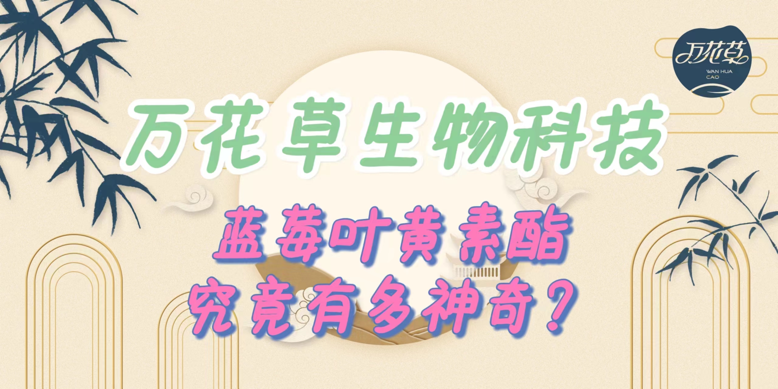 升級配方，重磅出擊，萬花草藍莓葉黃素酯究竟有多神奇？