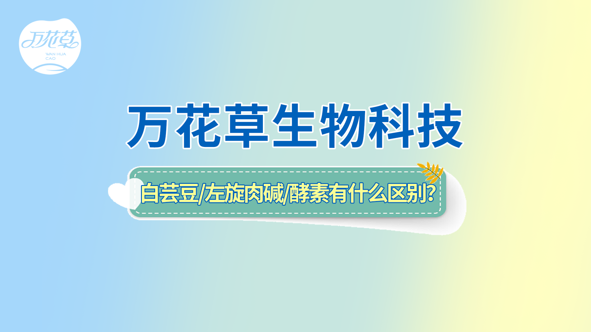 白蕓豆、左旋肉堿、嗨吃酵素有什么區(qū)別？